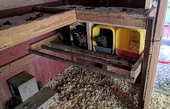 Upper tray old portion.jpg