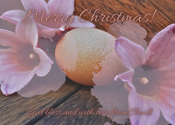 Merry Christmas!.png